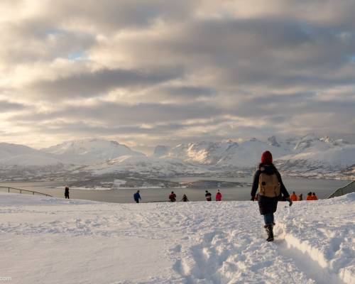 Tromsø in Winter