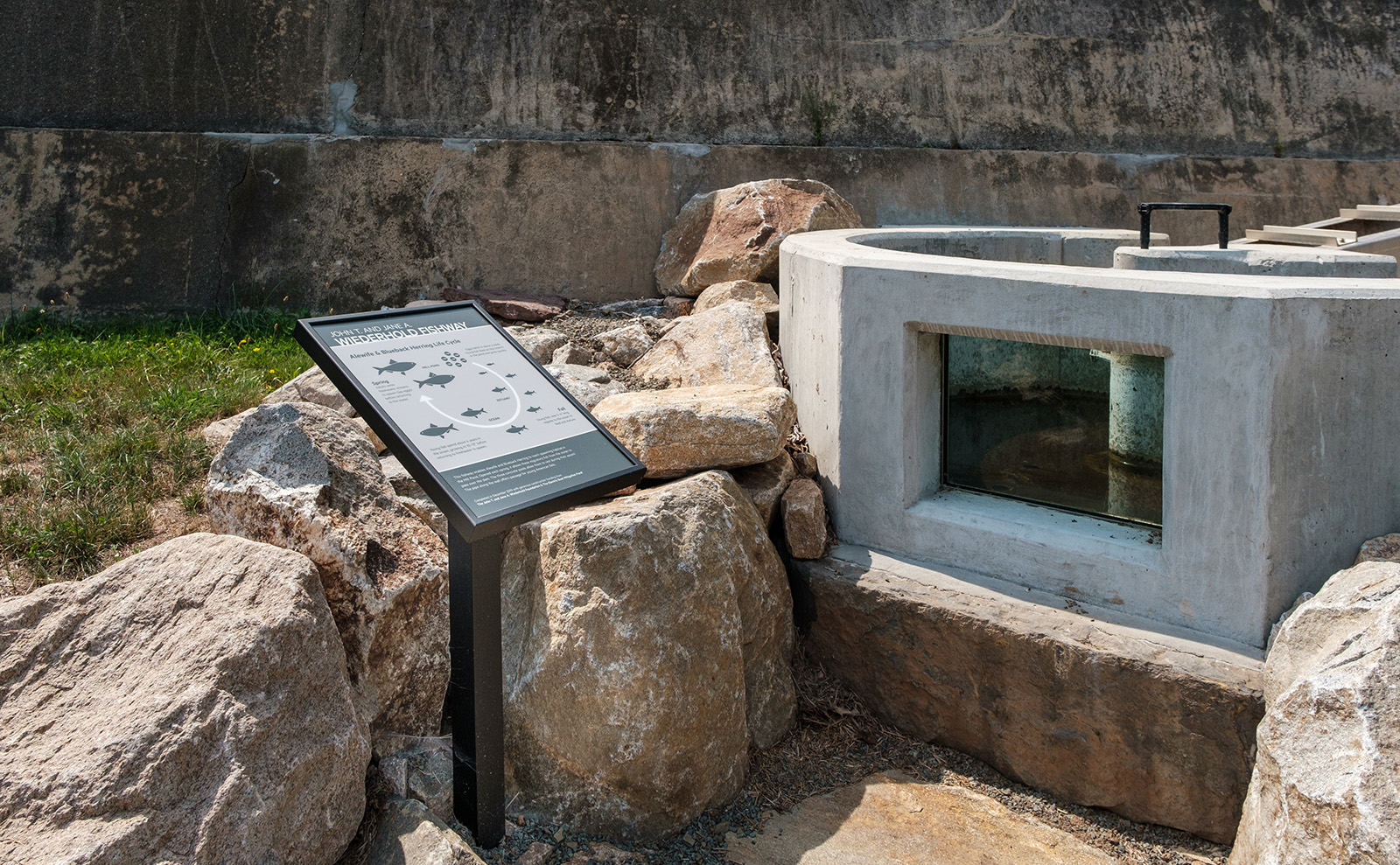 Wiederhold Fishway Interpretive Signage