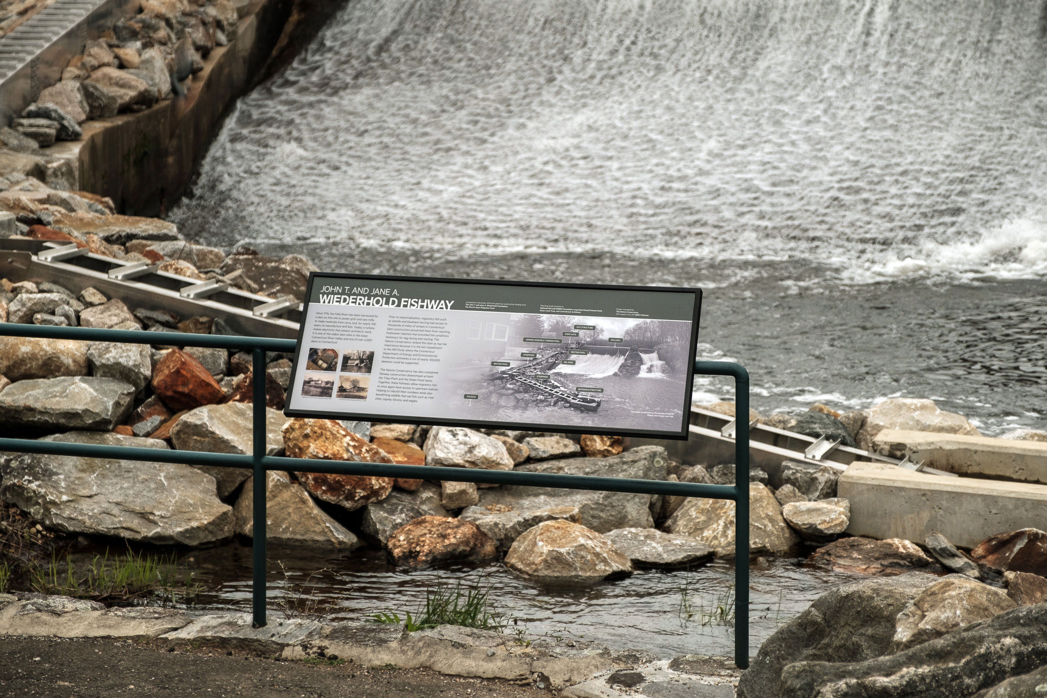 Wiederhold Fishway Interpretive Signage