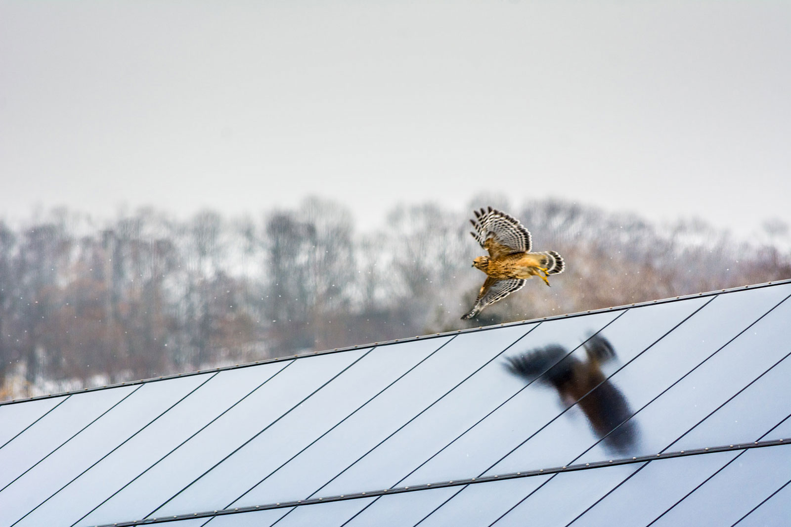 Centerbrook Architects