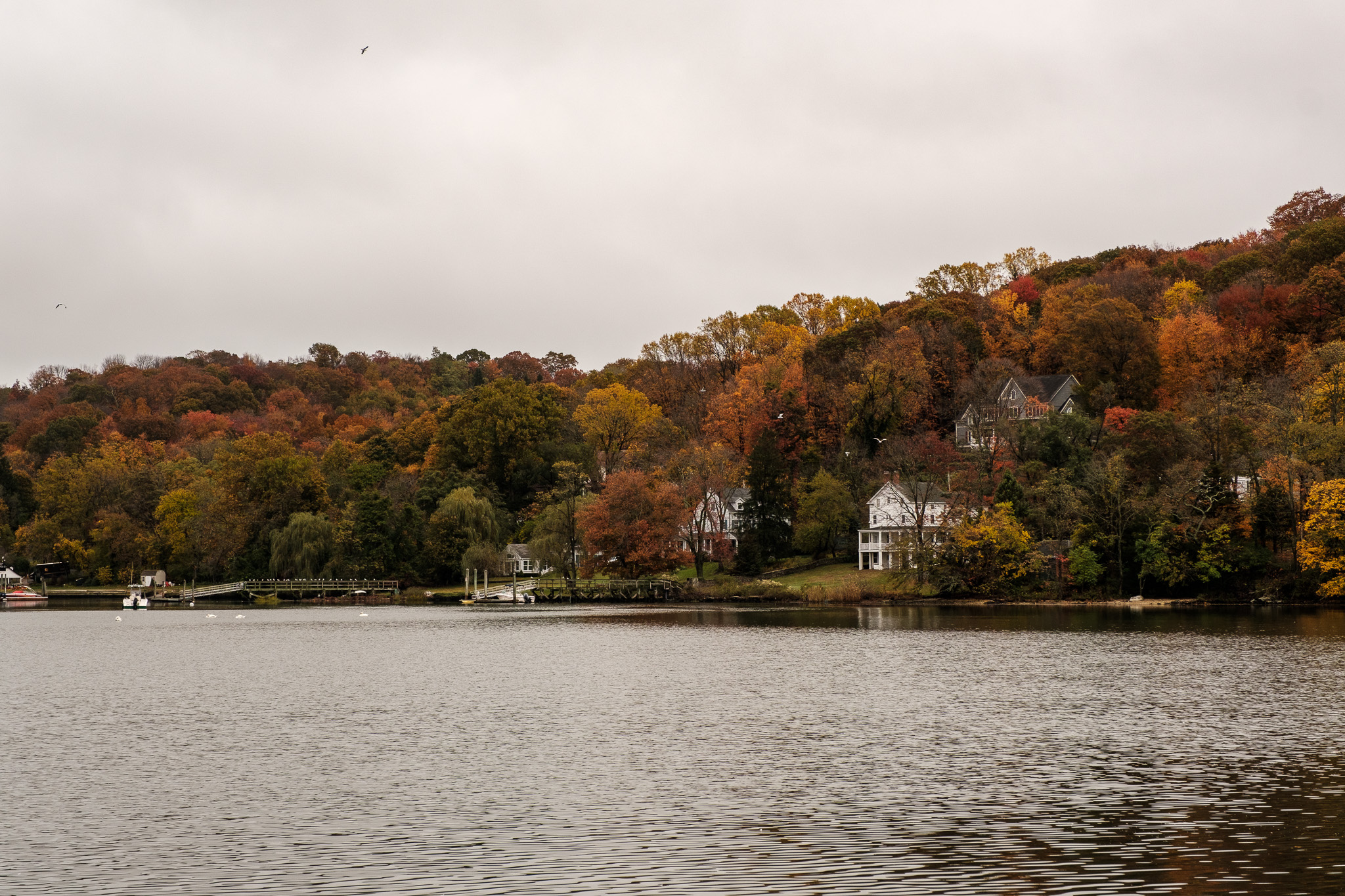 Cold Spring Harbor Laboratory