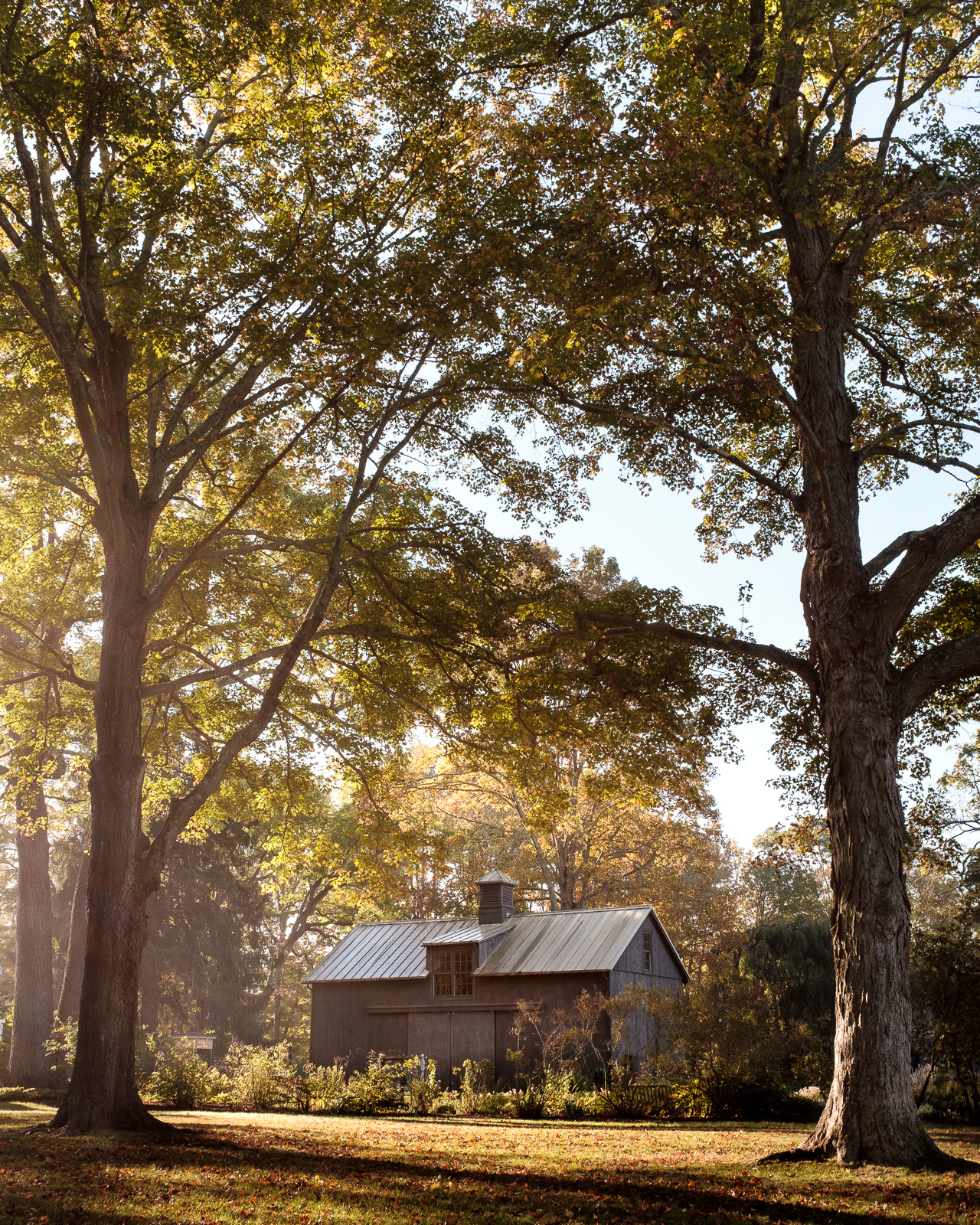 Florence Griswold Museum