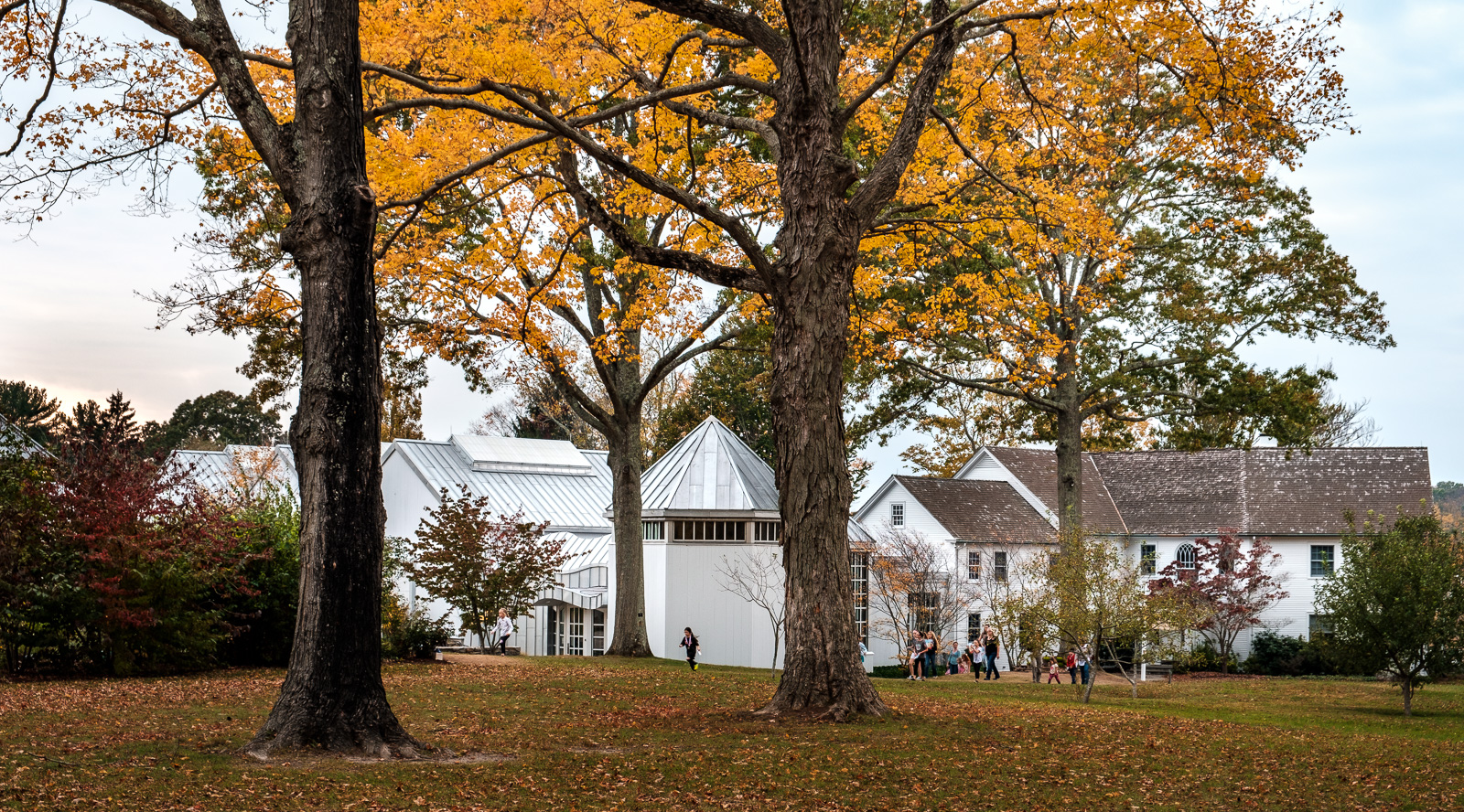 Florence Griswold Museum