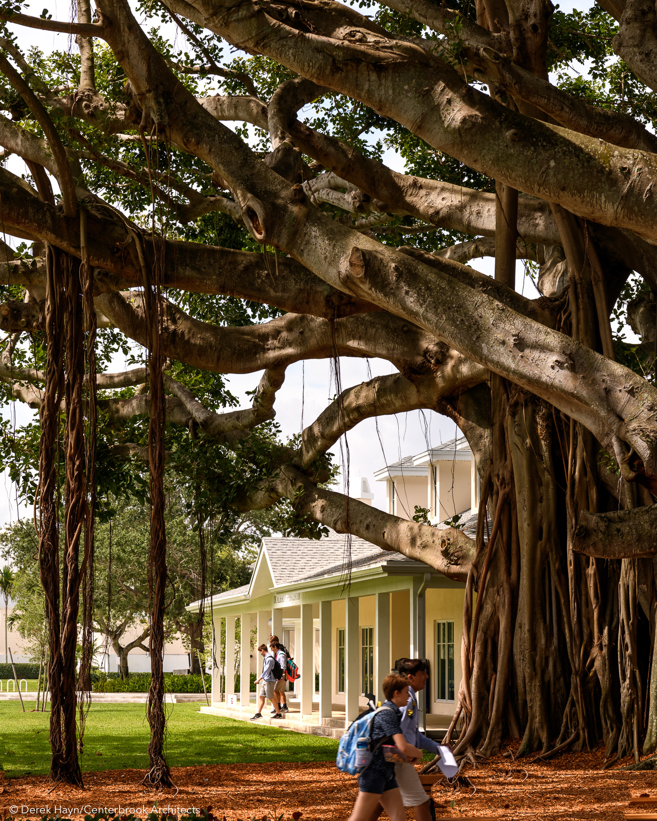 Saint Andrew's School