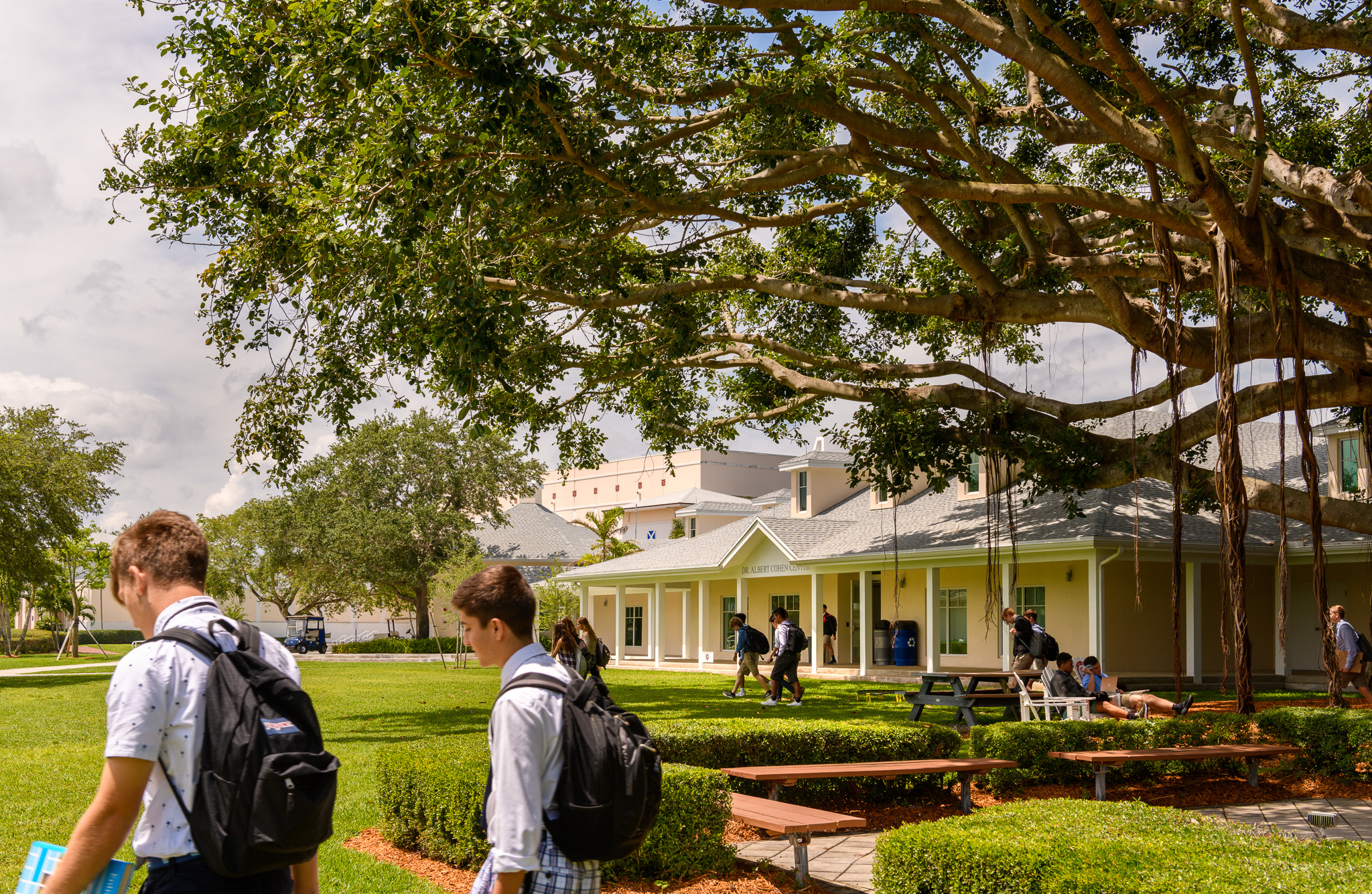 Saint Andrew's School