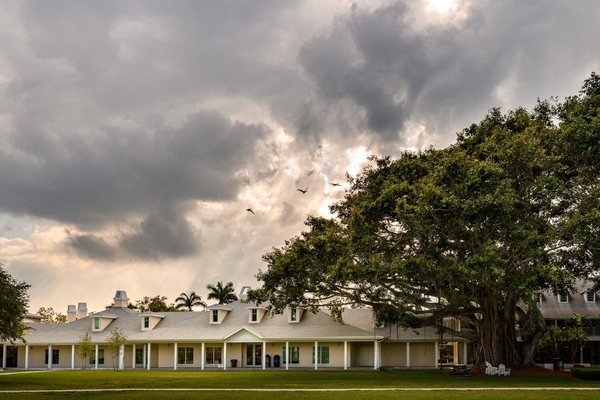 Saint Andrew's School